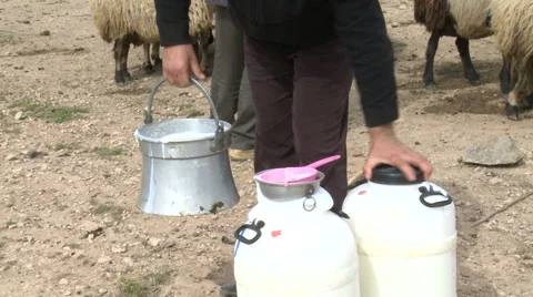 Pick Up The Milks Stock Footage 46043471