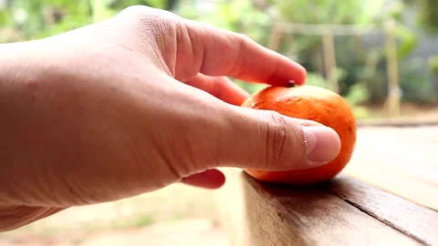 Pick up the oranges from the table Stock Footage 237794339