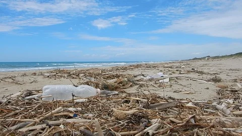 Pick up plastic pieces found on the beach to help environment 4607 Stock Footage 107950838