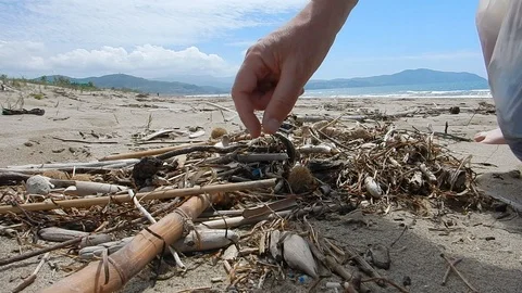 Pick up plastic pieces found on the beach to help environment 4614 Stock Footage 107951657