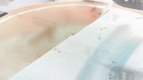 Pick up silicon die  in die attach machine in semiconductor manufacturing, Stock Footage 167155034