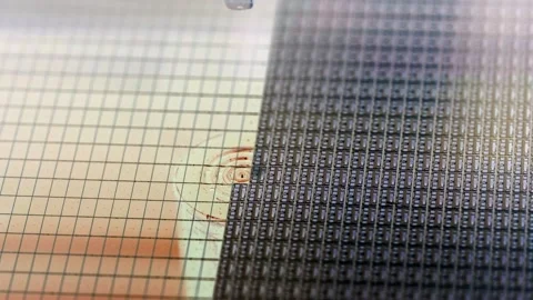 Pick up silicon die  in die attach machine in semiconductor manufacturing, Stock Footage 197034589