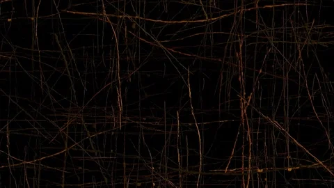 Pick Up Sticks Abstract Background 4K Loop Stock Footage 297025931