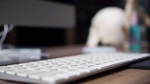 Pick up tangled earphone from keyboard. Earphone drop on keyboard Video stock 280895602