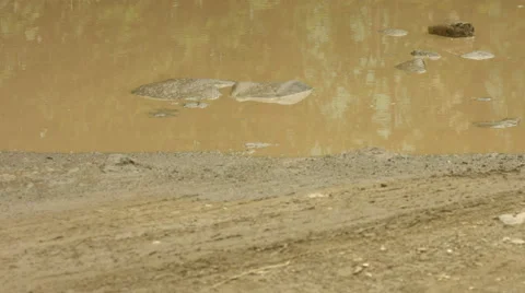 Pick up truck going over puddle of water Stock Footage 43186240