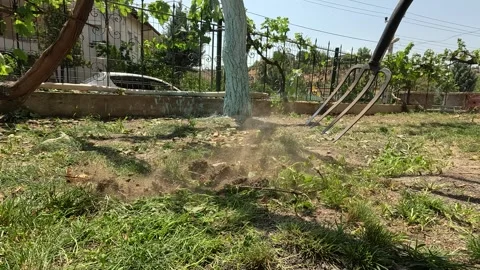 Pickaxe 3 Stock Footage 281159443