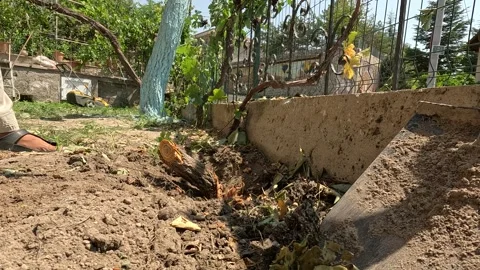 Pickaxe Stock Footage 281159420