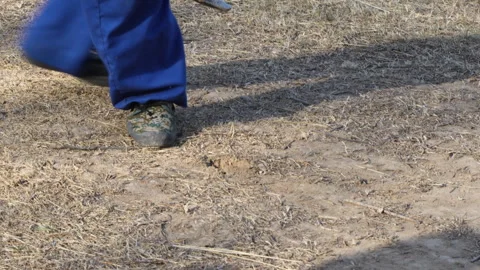 Pickaxe job planing soil digging pit worker job labor Stock Footage 240200504
