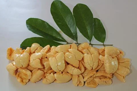 Picked ackee Stock Photos