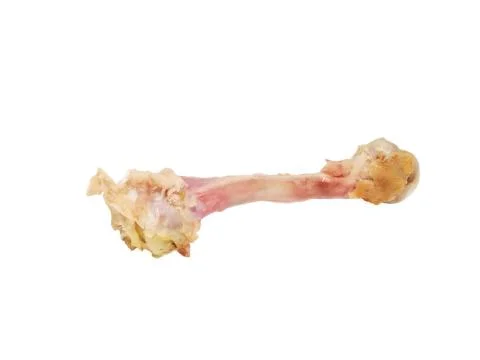 The picked chicken bone. Stock Photos