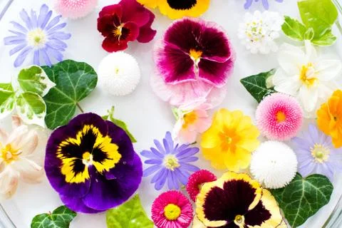 Picked Flowers Stock Photos