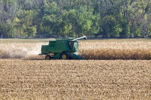Pickershelling the next row Stock Photos