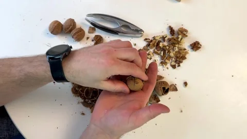 Picking and cracking nuts on a table in a home setting Stock Footage 331901614