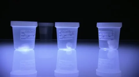 Picking up and placing down specimen containers Stock Footage 20448037