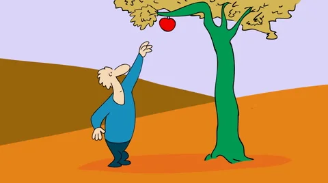 PICKING APPLE  Stock Footage 2304081