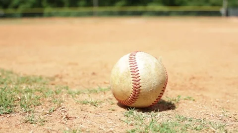 Picking Up a Baseball Stock Footage 83058175