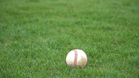 Picking up a baseball - Slow motion Video stock 77369061