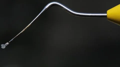 Picking bee Stock-Footage 46571408