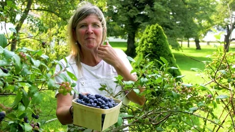 Picking berries on a summer day Stock Footage 158452398