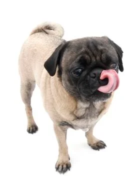 Picking Boogers Stock Photos