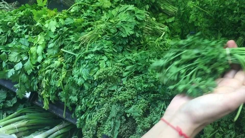 Picking coriander in the supermarket Stock Footage 120707333