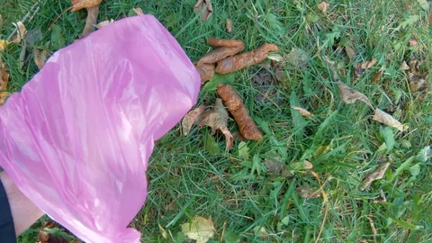 poop in plastic bag