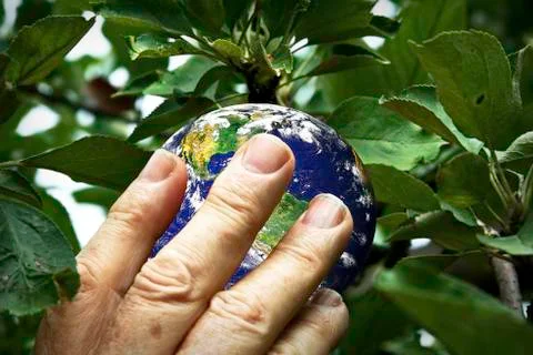 Picking the earth Stock Photos