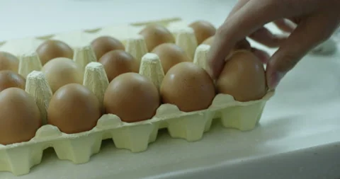 Picking eggs Video stock 97980378