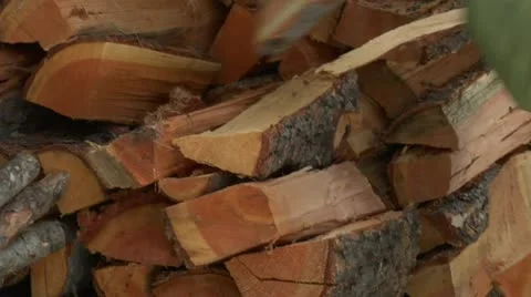Picking up firewood Stock Footage 21573254