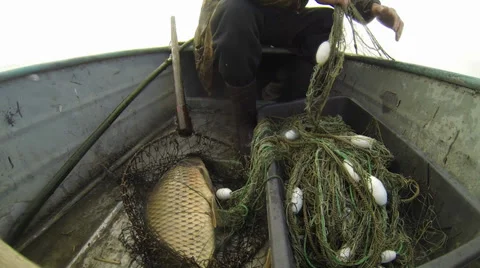 Picking fishing network Stock Footage 36564071