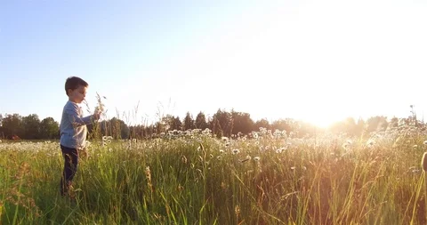 Picking flowers  Stock Footage 108708308