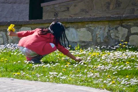 Picking flowers Stock Photos