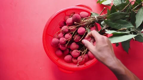 Picking fresh lychee from the basket Stock Footage 341908932