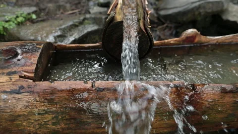 Picking up garbage water plastic nature. Volunteer cleaning river trash Stock Footage 249377596
