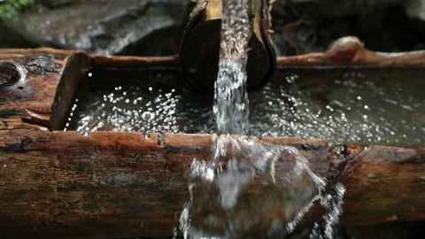 Picking up garbage water plastic nature. Volunteer cleaning river trash Stock Footage 249377622