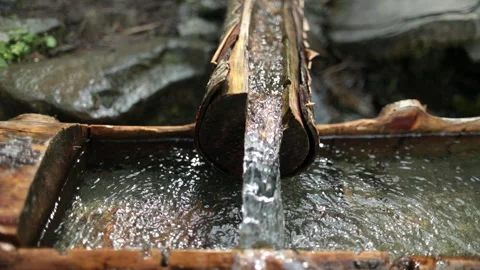 Picking up garbage water plastic nature. Volunteer cleaning river trash Stock Footage 249377674