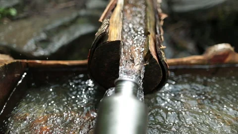 Picking up garbage water plastic nature. Volunteer cleaning river trash Stock Footage 249377698