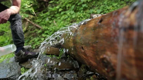 Picking up garbage water plastic nature. Volunteer cleaning river trash Stock Footage 249377968