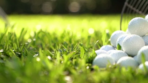 Picking up Golf balls in basket . Stock Footage 126419873