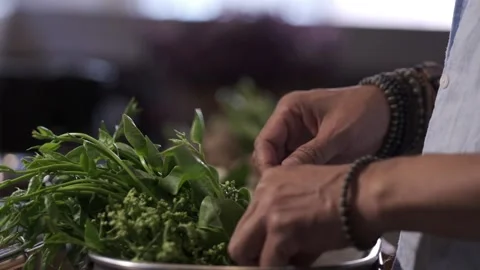 Picking ingredients carefully  Stock Footage 145354862