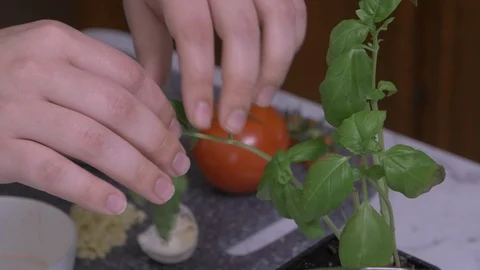 Picking Leaves Up Close Stock Footage 97646498