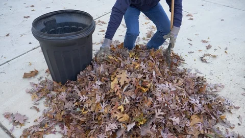 Picking up leaves with rake 4K Stock Footage 120302943