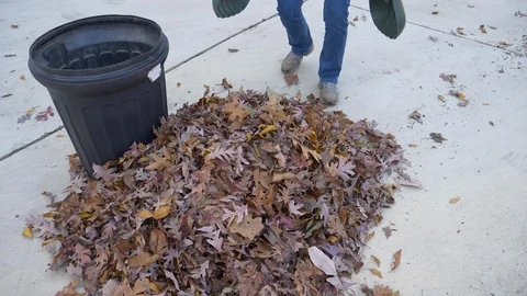 Picking up leaves with scoops 4K Stock Footage 120302933