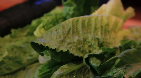Picking At Lettuce Stock Footage 37410985
