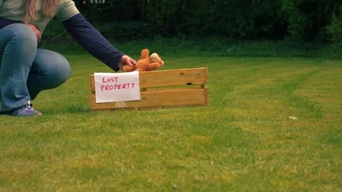 Picking up lost children toy teddy bear from lost property box Stock Footage 333057490
