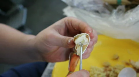 Picking the meat from a crab Stock-Footage 664381