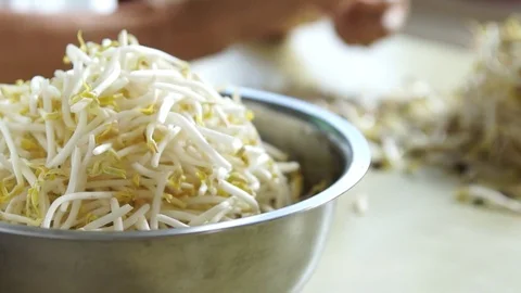 Picking mung bean sprouts Stock Footage 76178106
