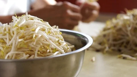 Picking mung bean sprouts Stock Footage 76215928