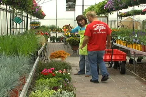 Picking out Green Plants 動画素材 10708718