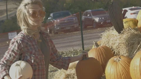 Picking Out Pumpkins Stock Footage 220904114